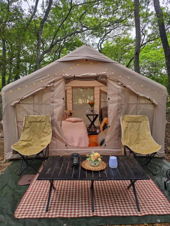 Luxury outdoor picnic setup