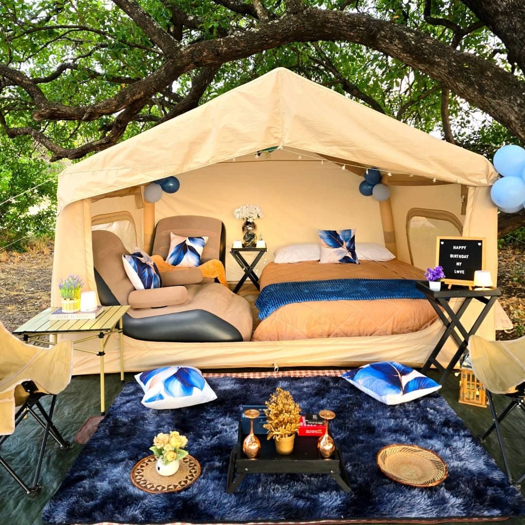 Luxury Picnic Setup