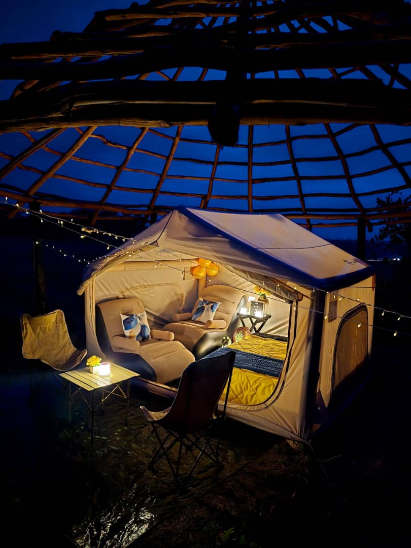 Outdoor Movie Night Setup